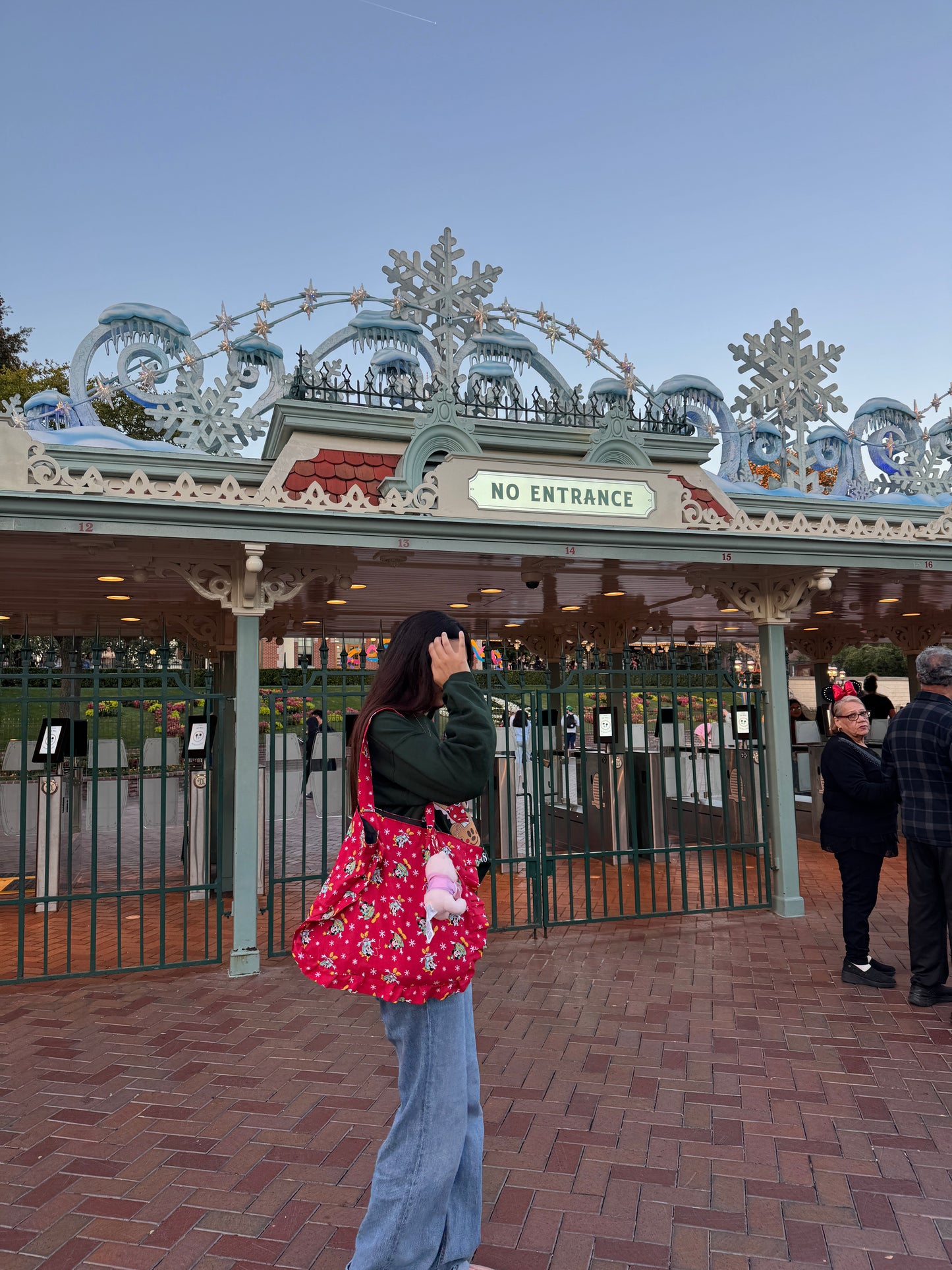 Xmas Mouse tote TAT MID DECEMBER